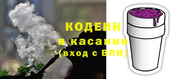 прущие грибы Весьегонск