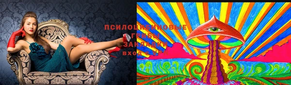 кокаин колумбия Пересвет
