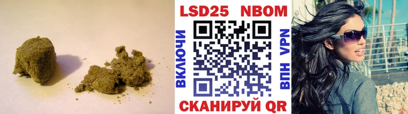 блэк спрут ССЫЛКА  Терек  Лсд 25 экстази кислота 